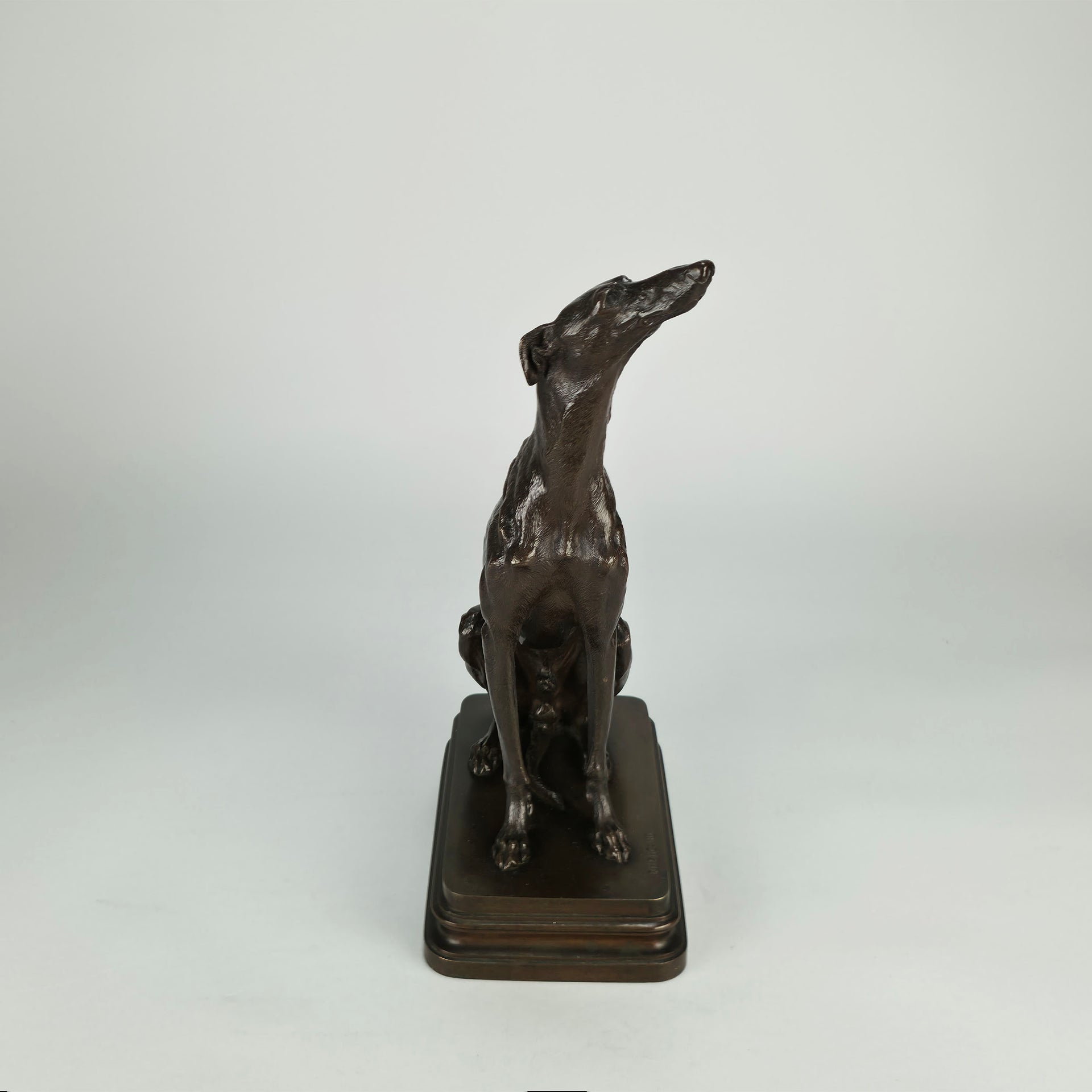Seated Greyhound by Alfred Dubucand - Hickmet Fine Arts