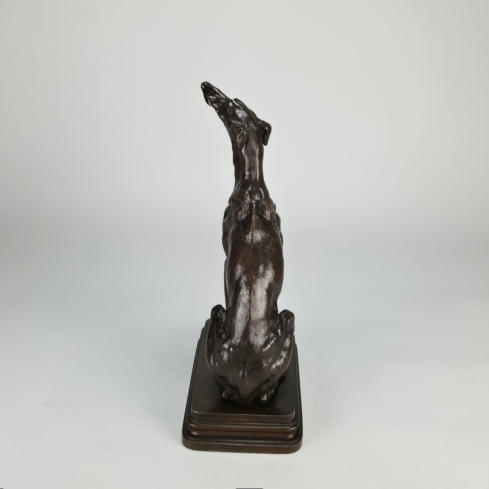 Seated Greyhound by Alfred Dubucand - Hickmet Fine Arts