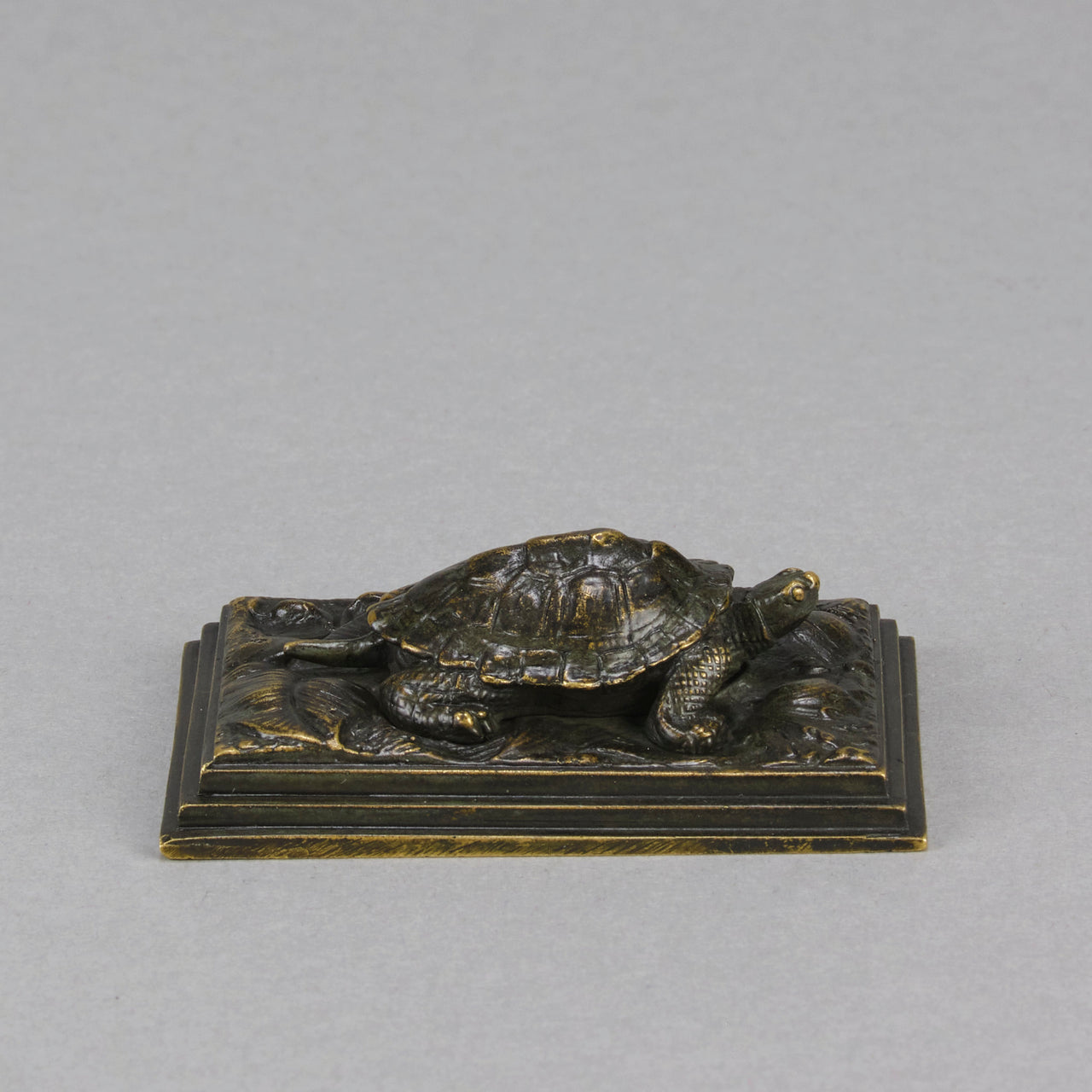 Barye Tortoise - Antoine L Bayre Animalier Bronze - Hickmet Fine Arts