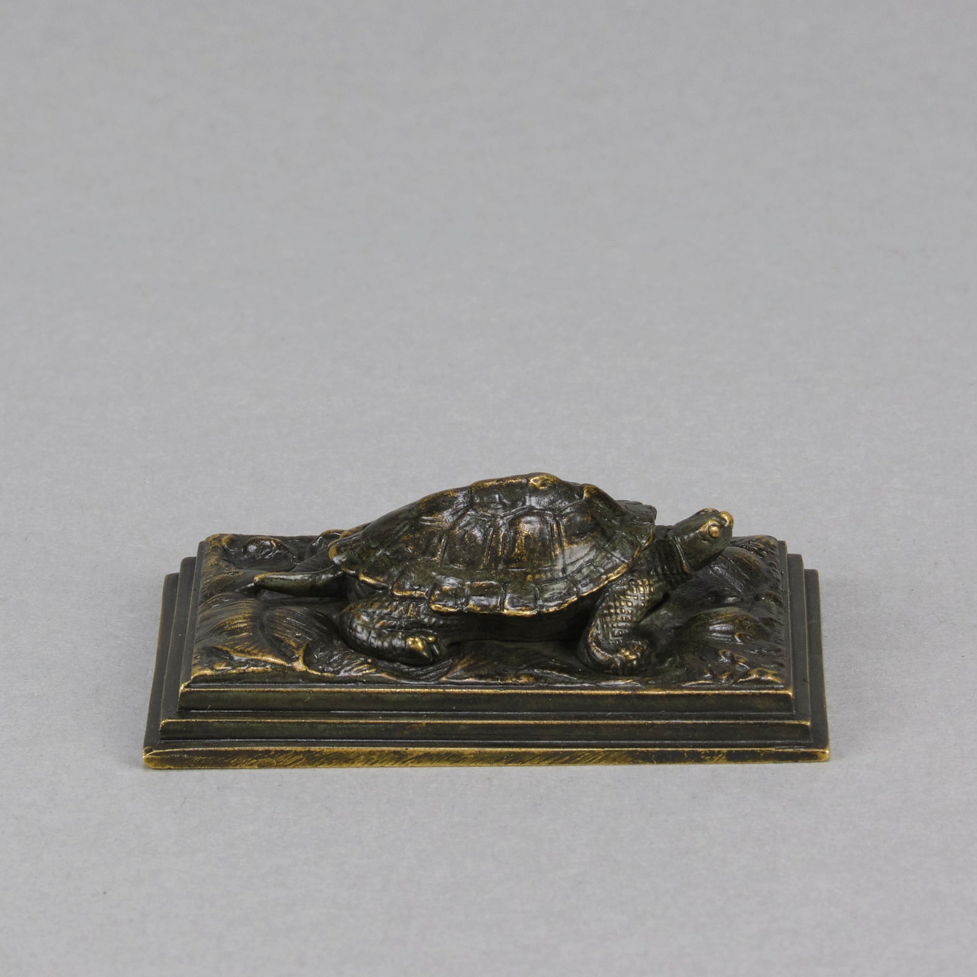 Barye Tortoise - Antoine L Bayre Animalier Bronze - Hickmet Fine Arts