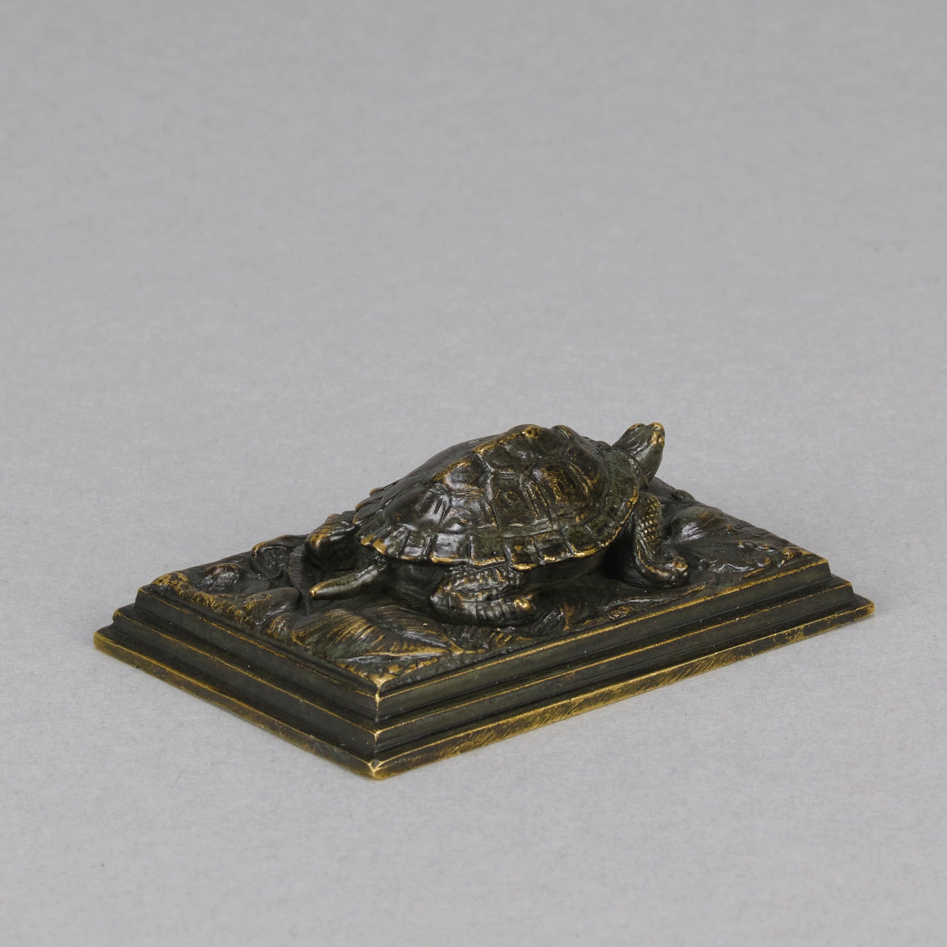 Barye Tortoise - Antoine L Bayre Animalier Bronze - Hickmet Fine Arts