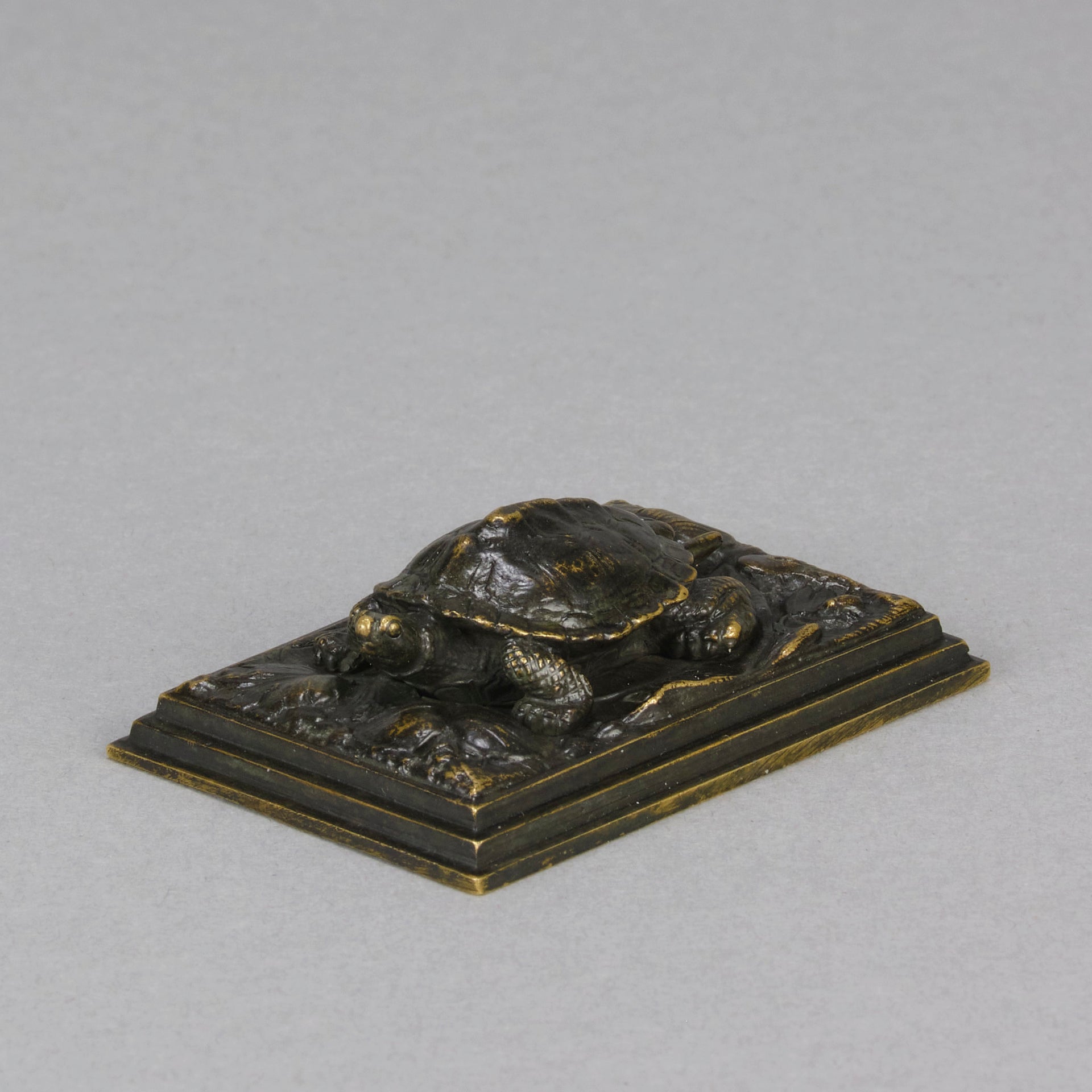 Barye Tortoise - Antoine L Bayre Animalier Bronze - Hickmet Fine Arts