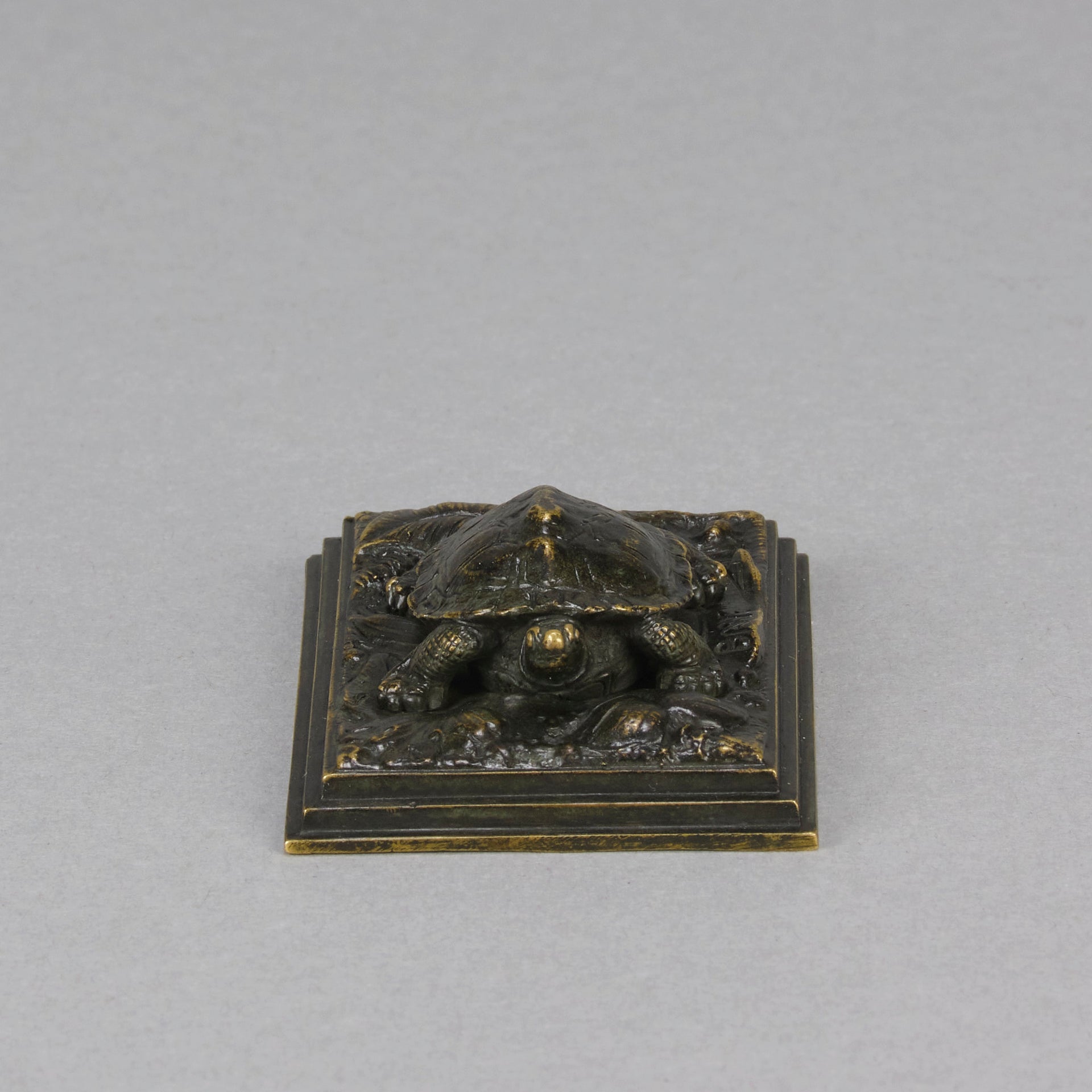 Barye Tortoise - Antoine L Bayre Animalier Bronze - Hickmet Fine Arts