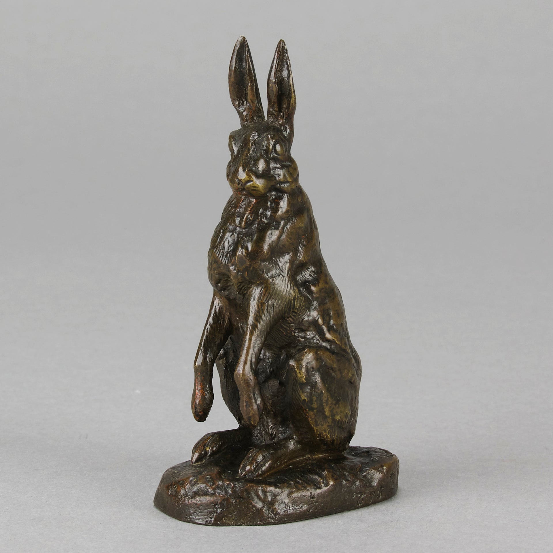 Dubucand Hare - Alfred Dubucand - Hickmet Fine Arts