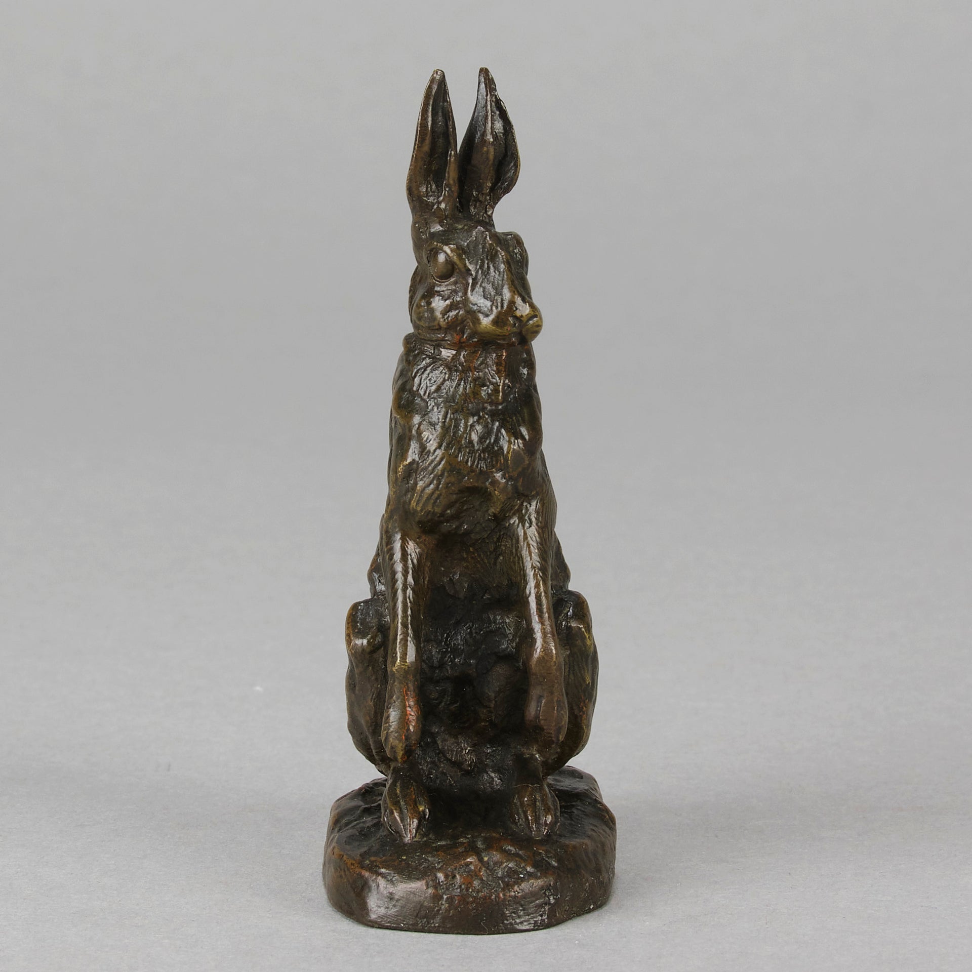Dubucand Hare - Alfred Dubucand - Hickmet Fine Arts