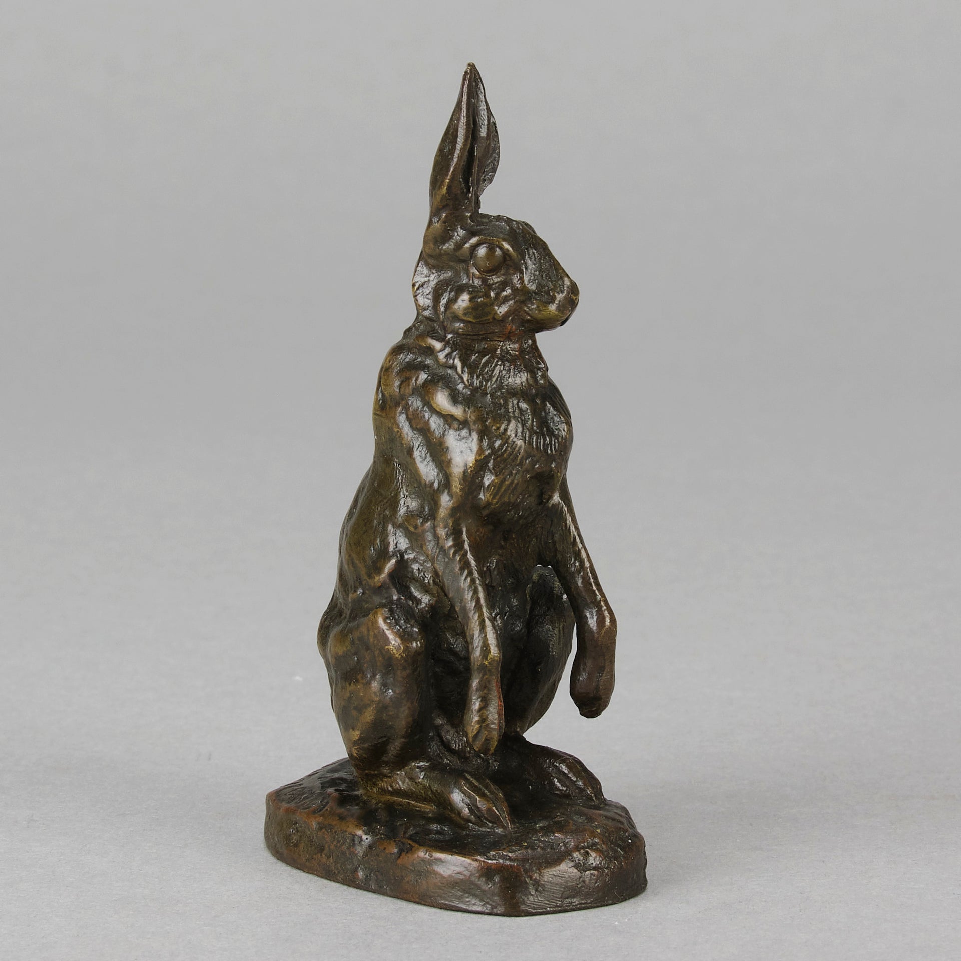Dubucand Hare - Alfred Dubucand - Hickmet Fine Arts