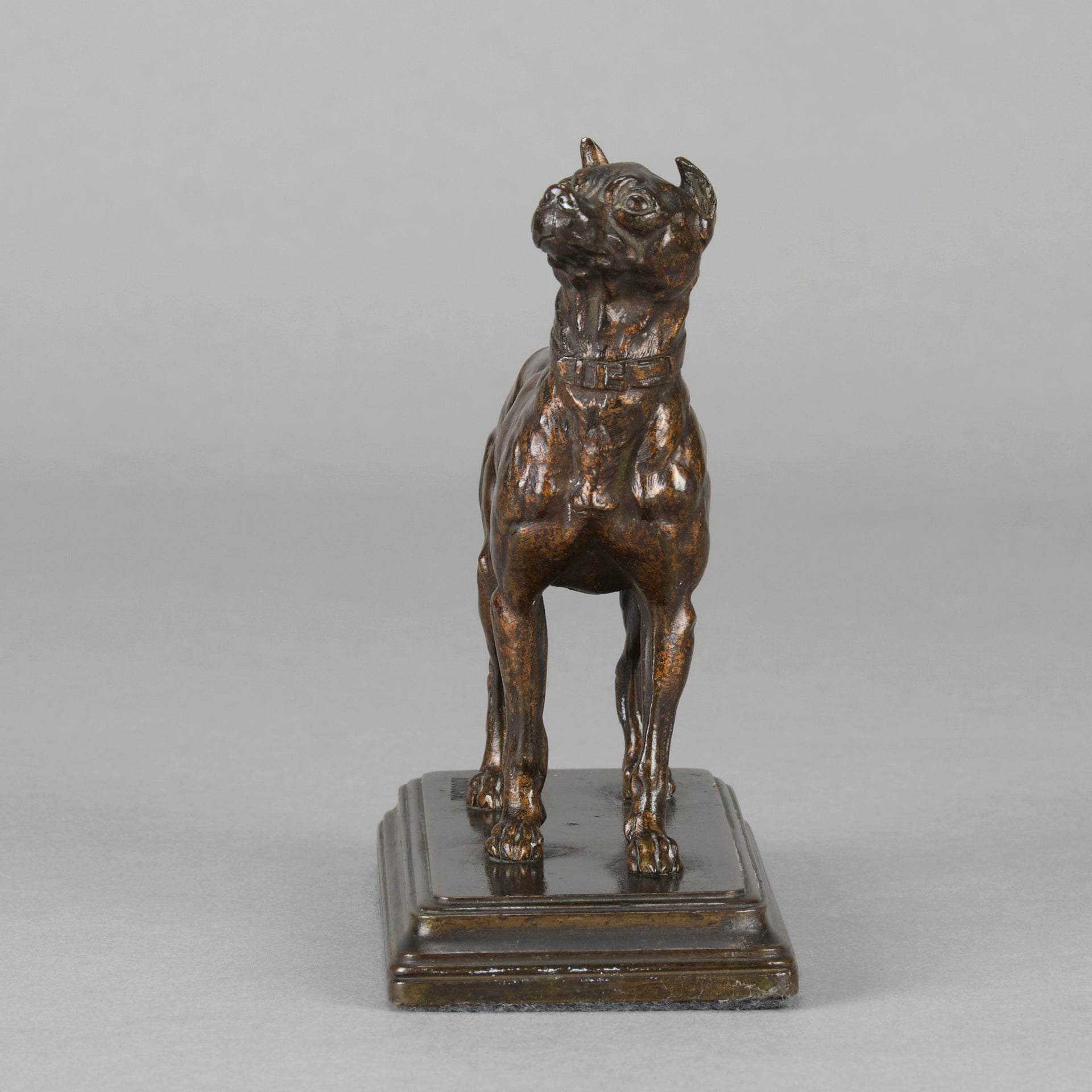 Dubucand Terrier - Alfred Dubucand - Hickmet Fine Arts