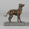 Dubucand Terrier - Alfred Dubucand - Hickmet Fine Arts