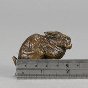 Dubucand Rabbit - Animalier Bronze - Hickmet Fine Arts