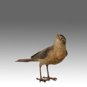 Bergman Bird - Bergman Bronze - Hickmet Fine Arts