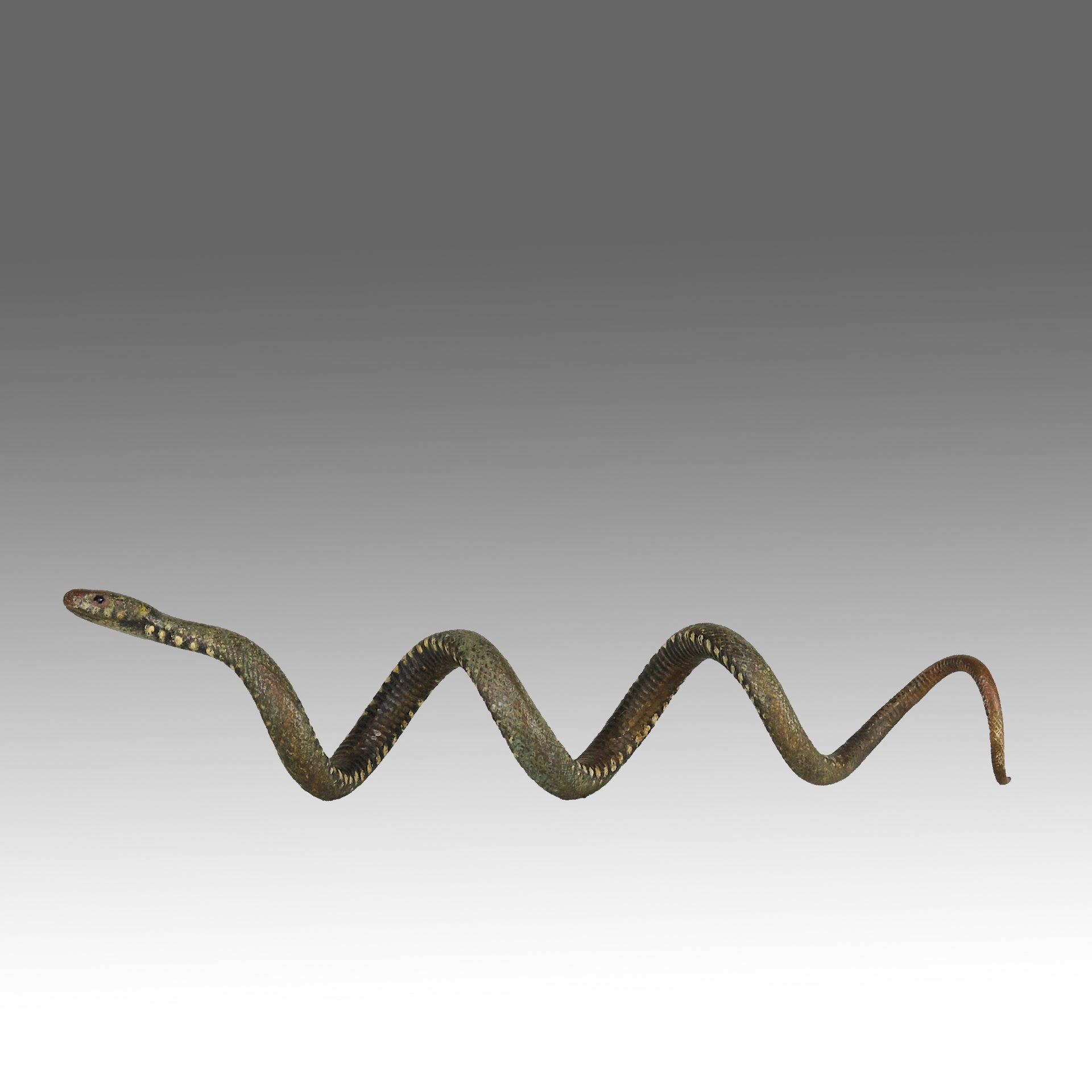Bergman Snake - Bergman Bronze - Hickmet Fine Arts