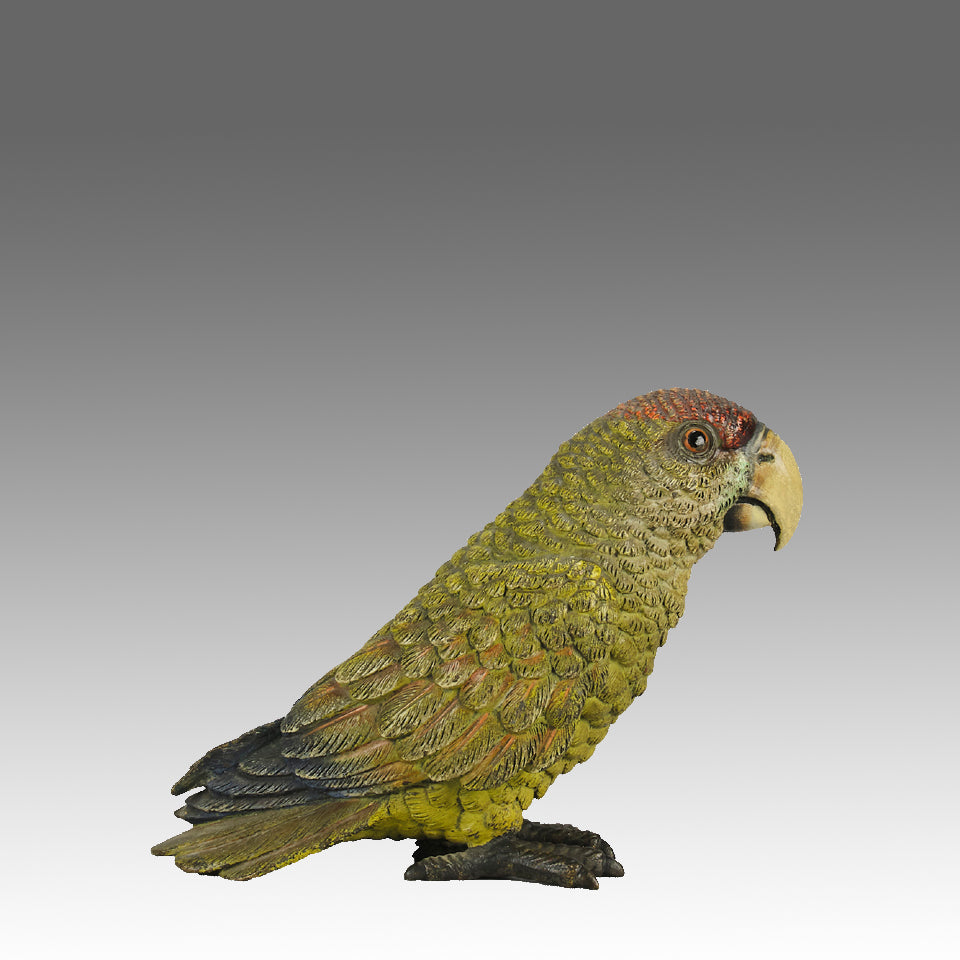 Bergman Green Parrot - Bergman Bronze - Hickmet Fine Arts