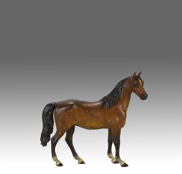 Bergman Horse - Franz Bergman Bronze - Hickmet Fine Arts