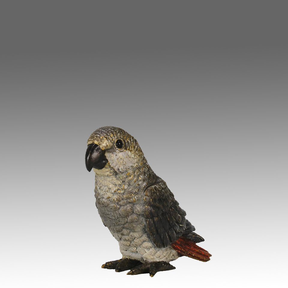 Bergman Parrot - Bergman Bronze - Hickmet Fine Arts
