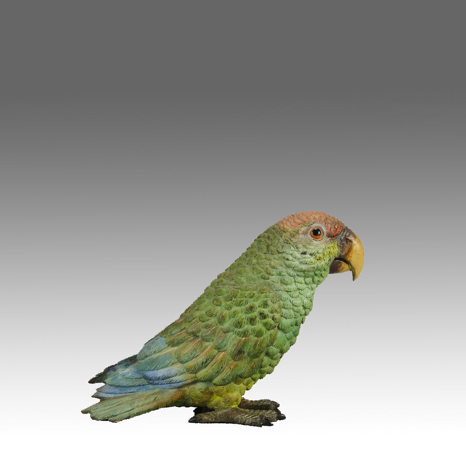 Bergman Parrot - Bergman Bronze - Hickmet Fine Arts