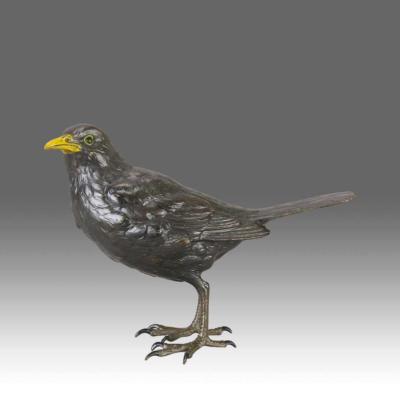 Bergman bronze blackbird