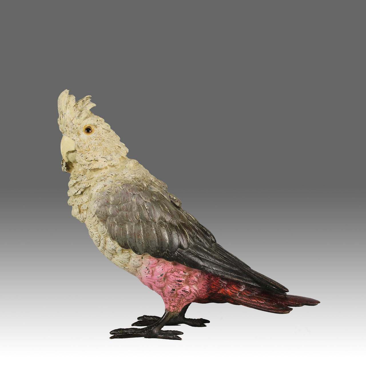 "Cockatoo" by Franz Bergman