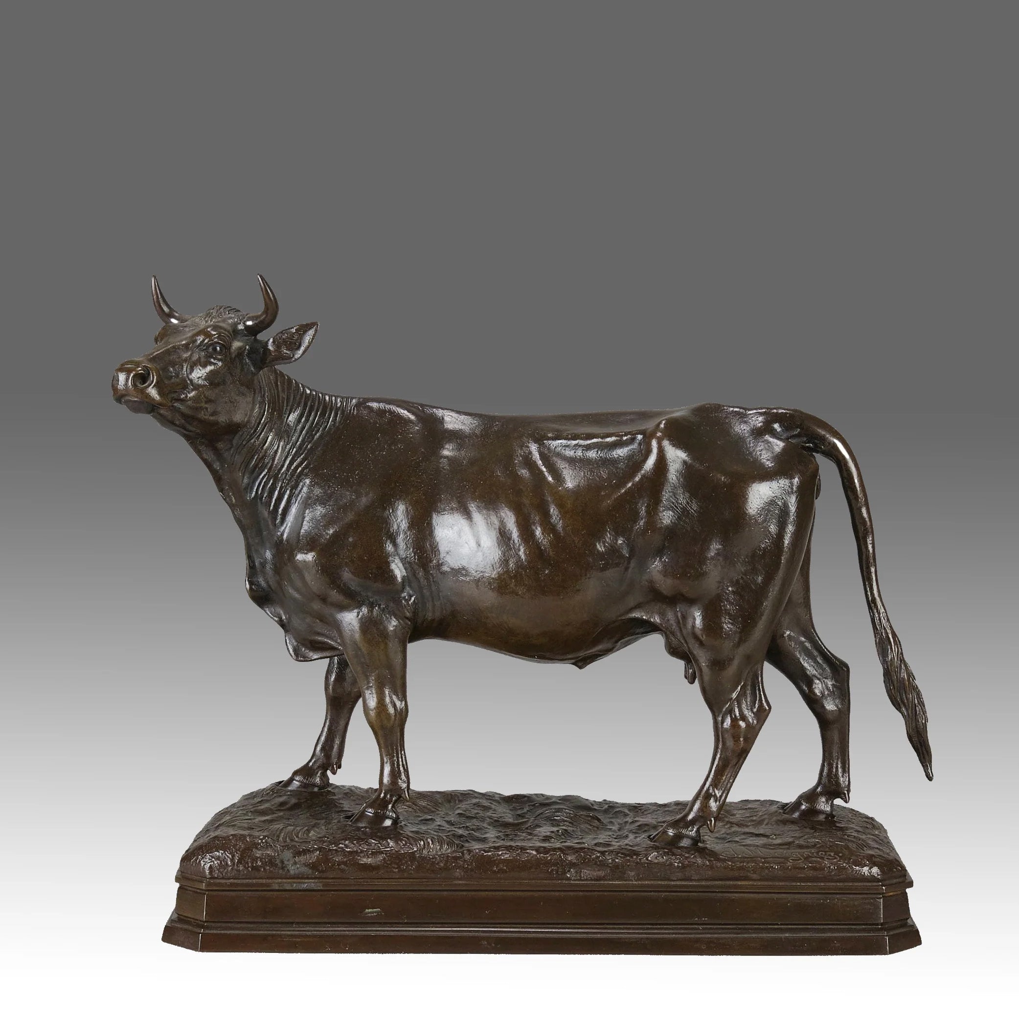 Cow.jpg?v=1719572440&width=1920