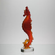 Daum Mer de Corail Sea Horse