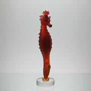 Daum Mer de Corail Sea Horse