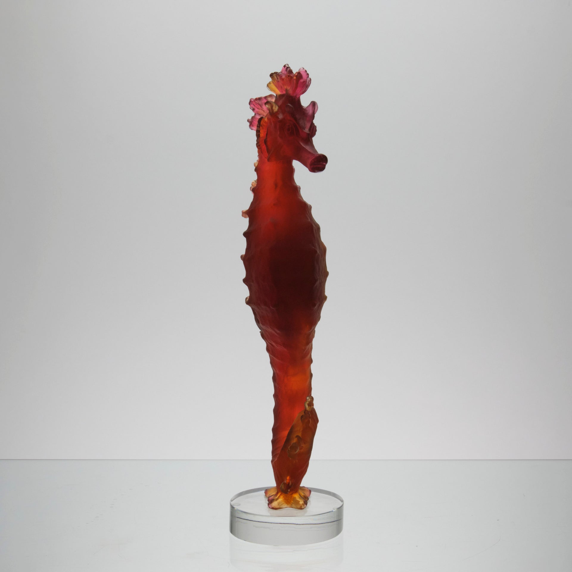 Daum Mer de Corail Sea Horse