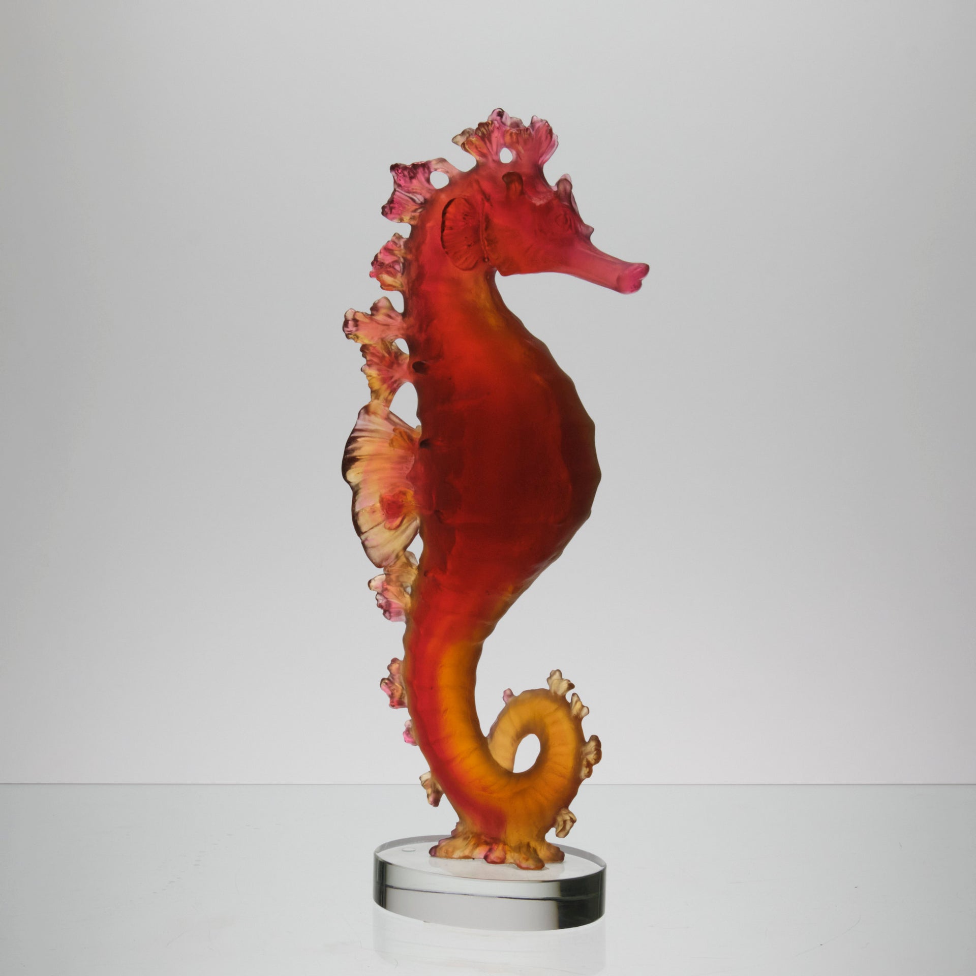 Daum Mer de Corail Sea Horse
