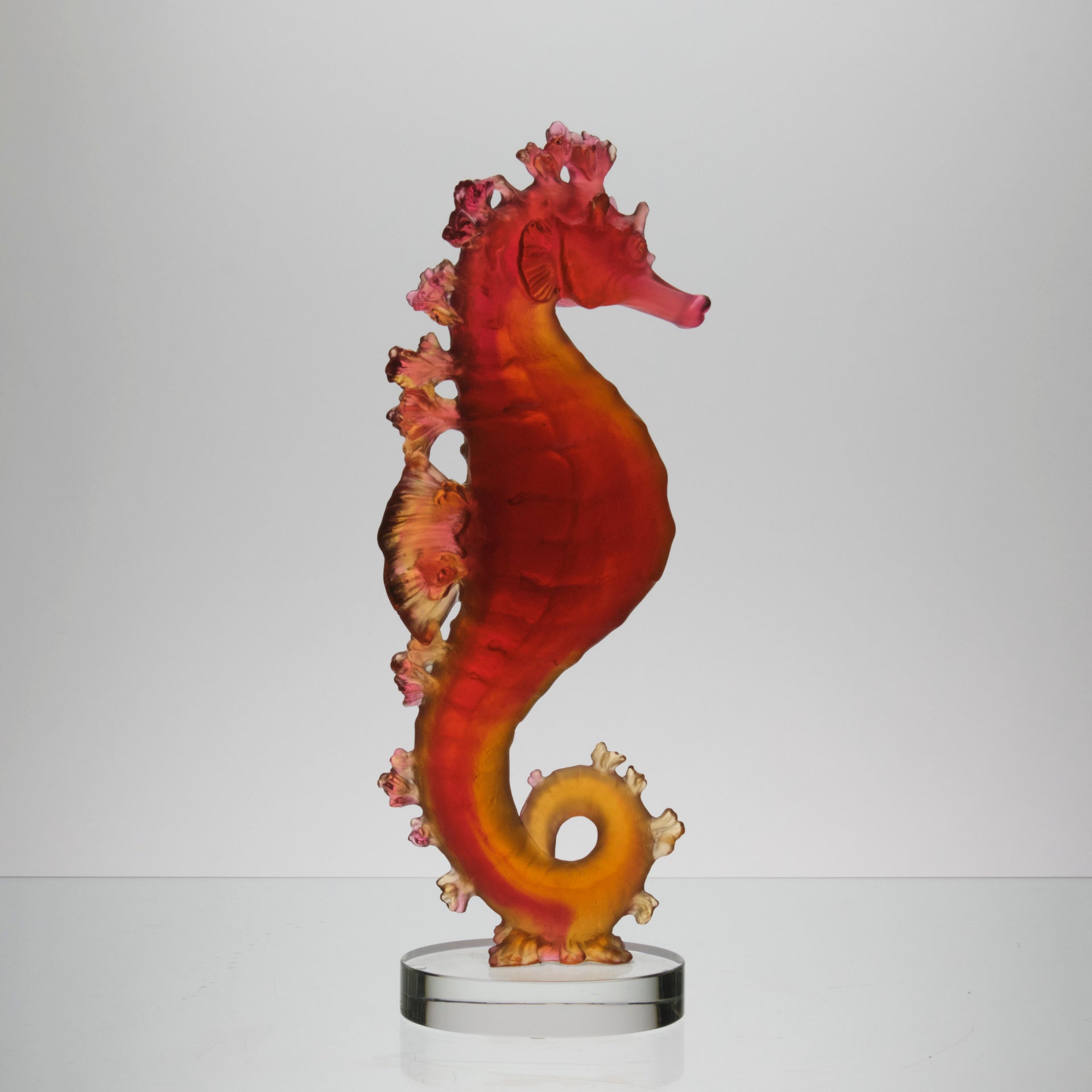Daum Mer de Corail Sea Horse