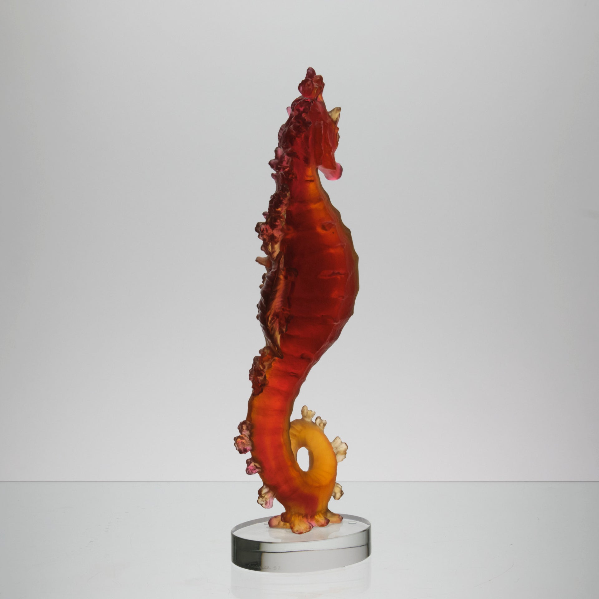 Daum Mer de Corail Sea Horse