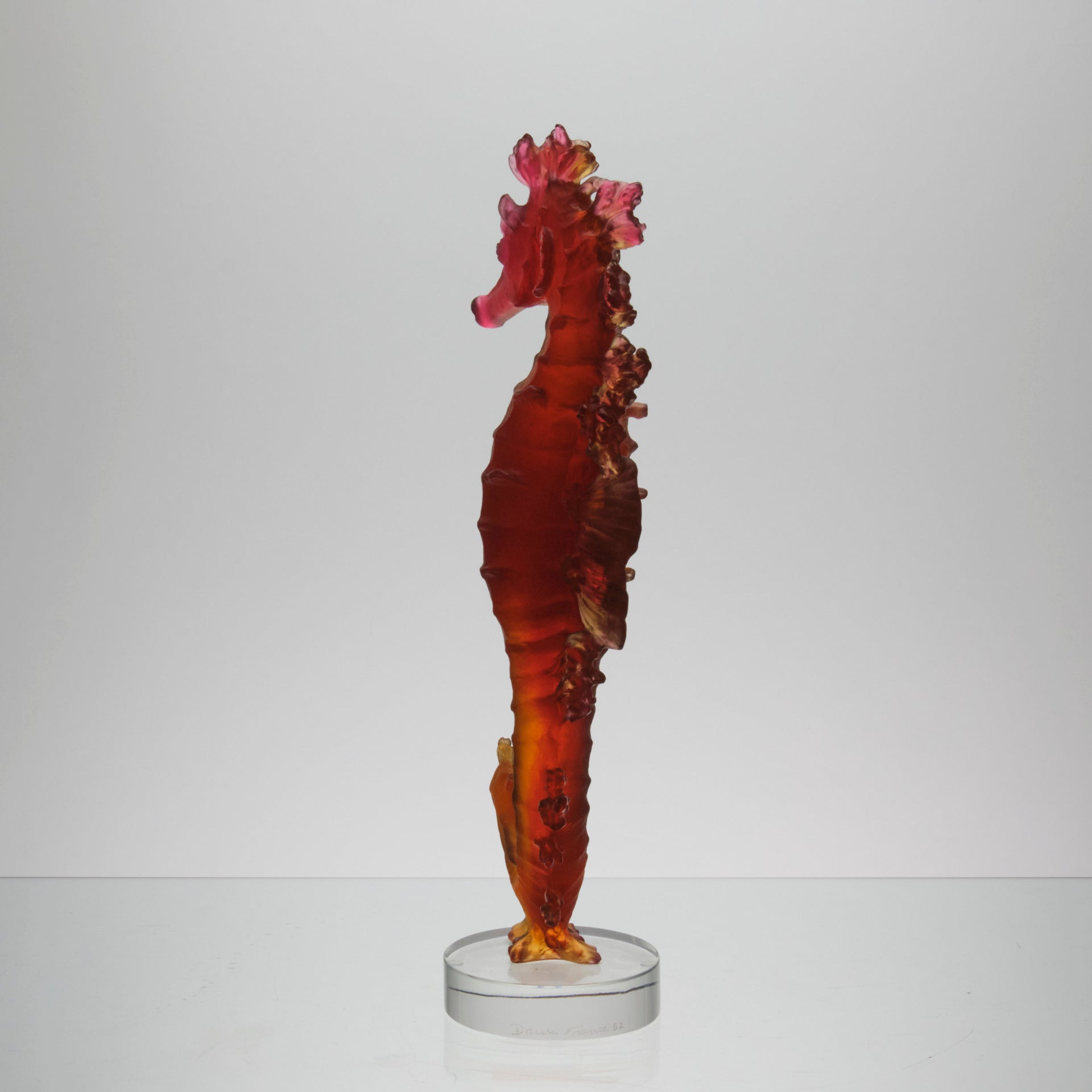Daum Mer de Corail Sea Horse