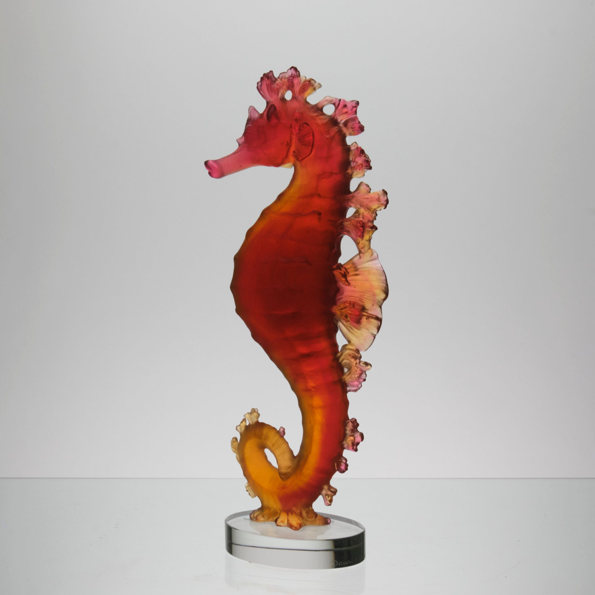 Daum Mer de Corail Sea Horse