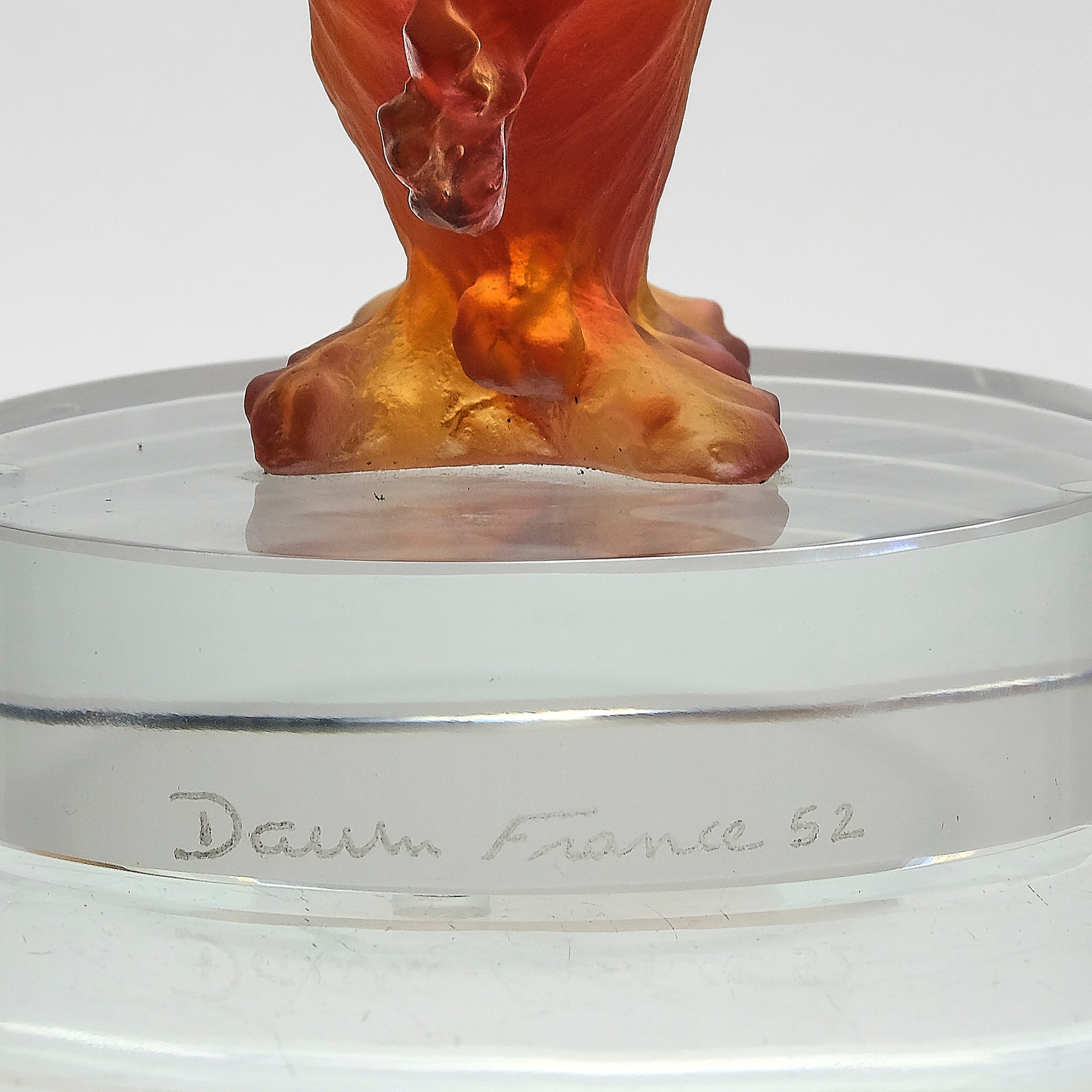 Daum Mer de Corail Sea Horse