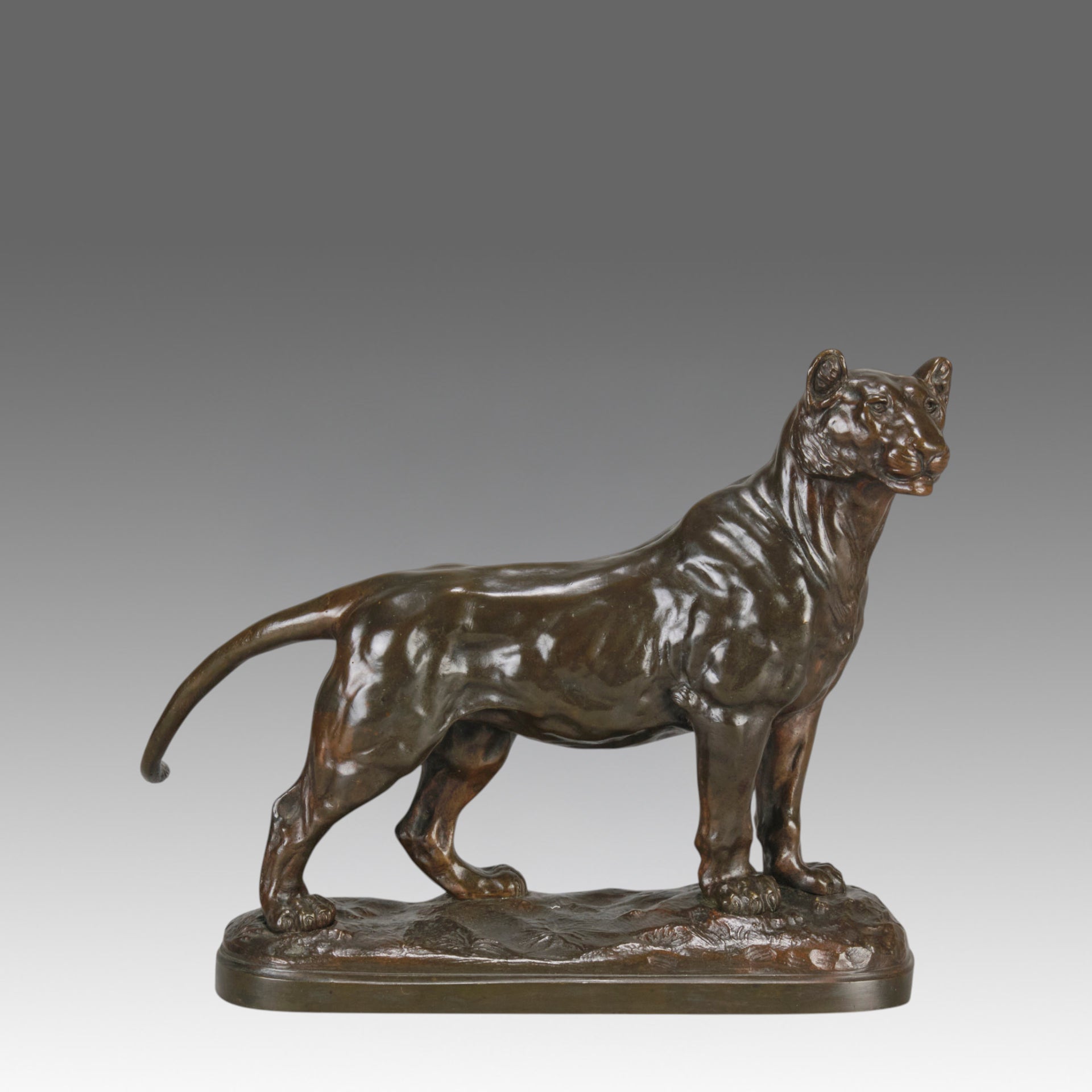 "Standing Lioness" - Donat Motte Bronze - Hickmet Fine Arts  