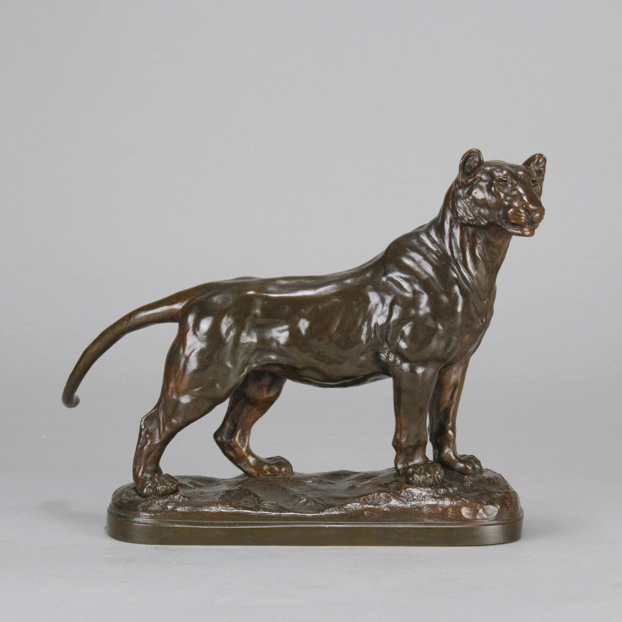 "Standing Lioness" - Donat Motte Bronze - Hickmet Fine Arts  