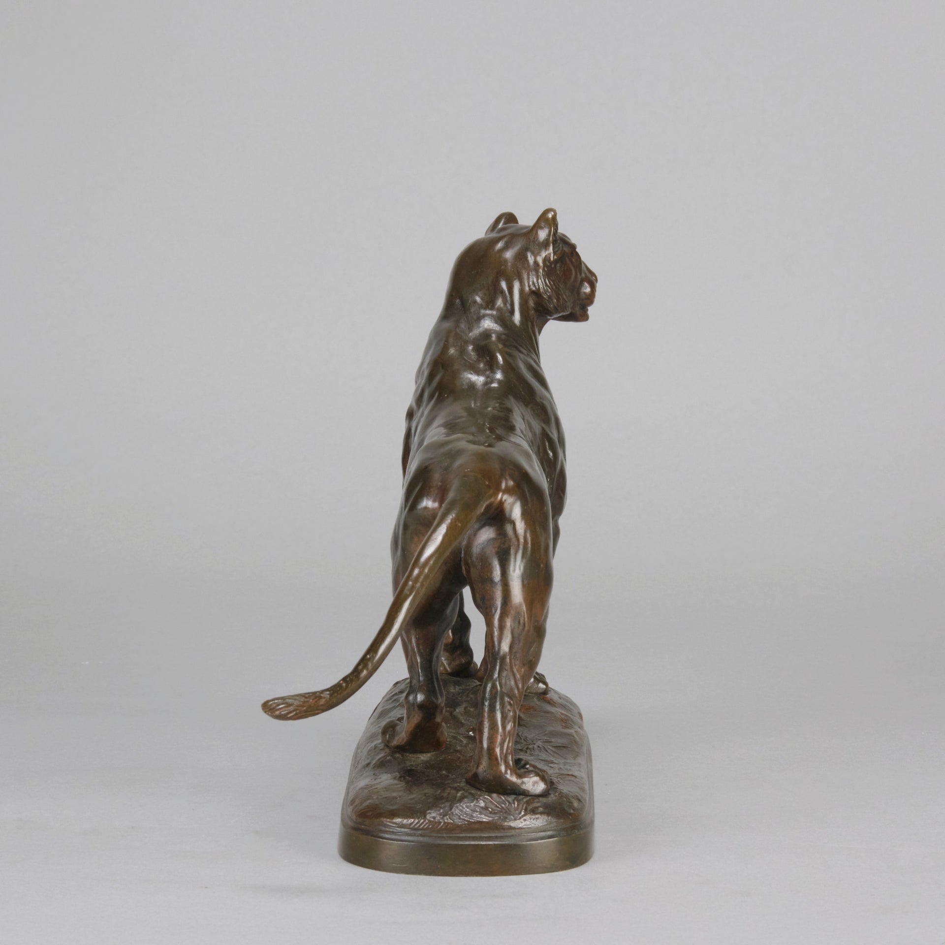 "Standing Lioness" - Donat Motte Bronze - Hickmet Fine Arts  