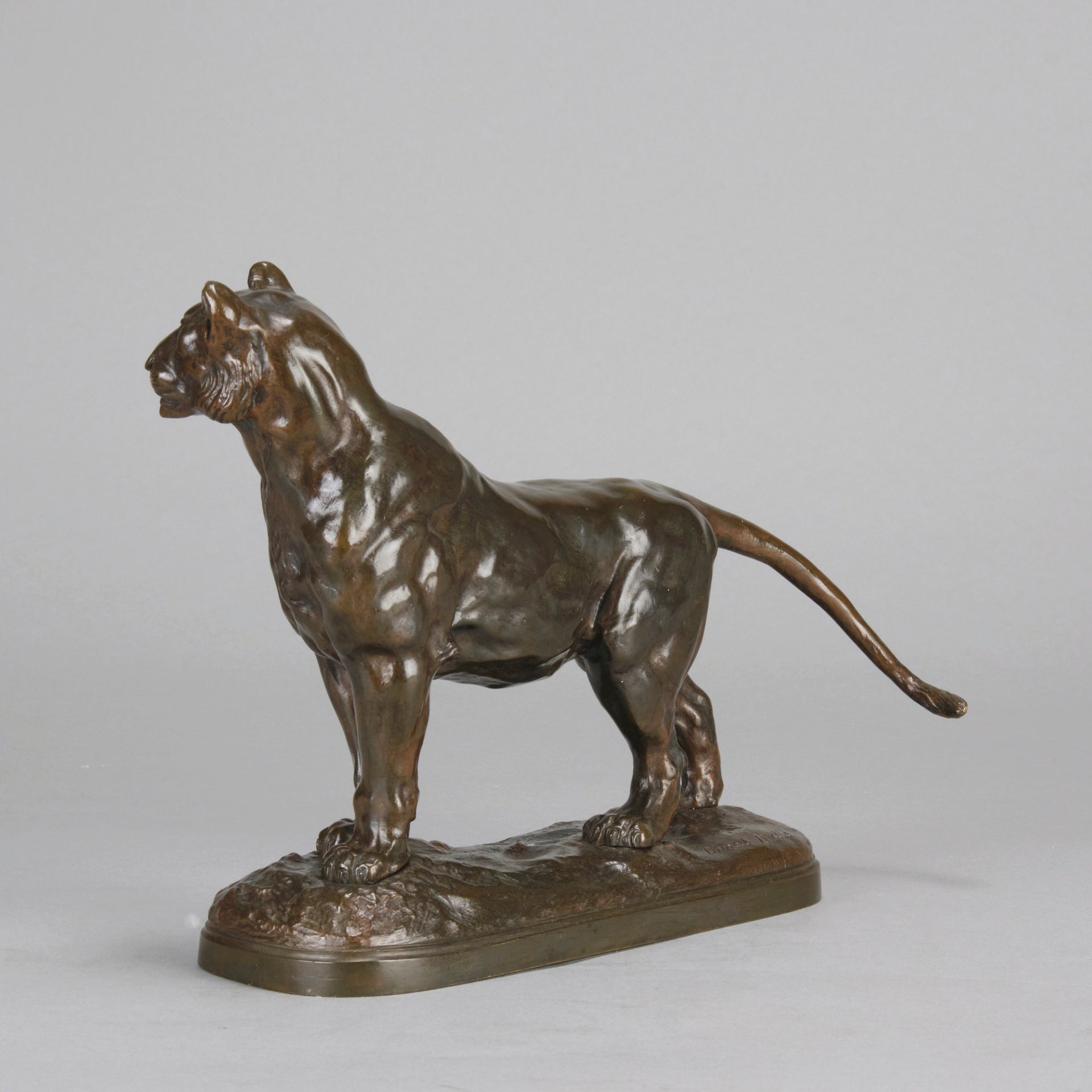 "Standing Lioness" - Donat Motte Bronze - Hickmet Fine Arts  