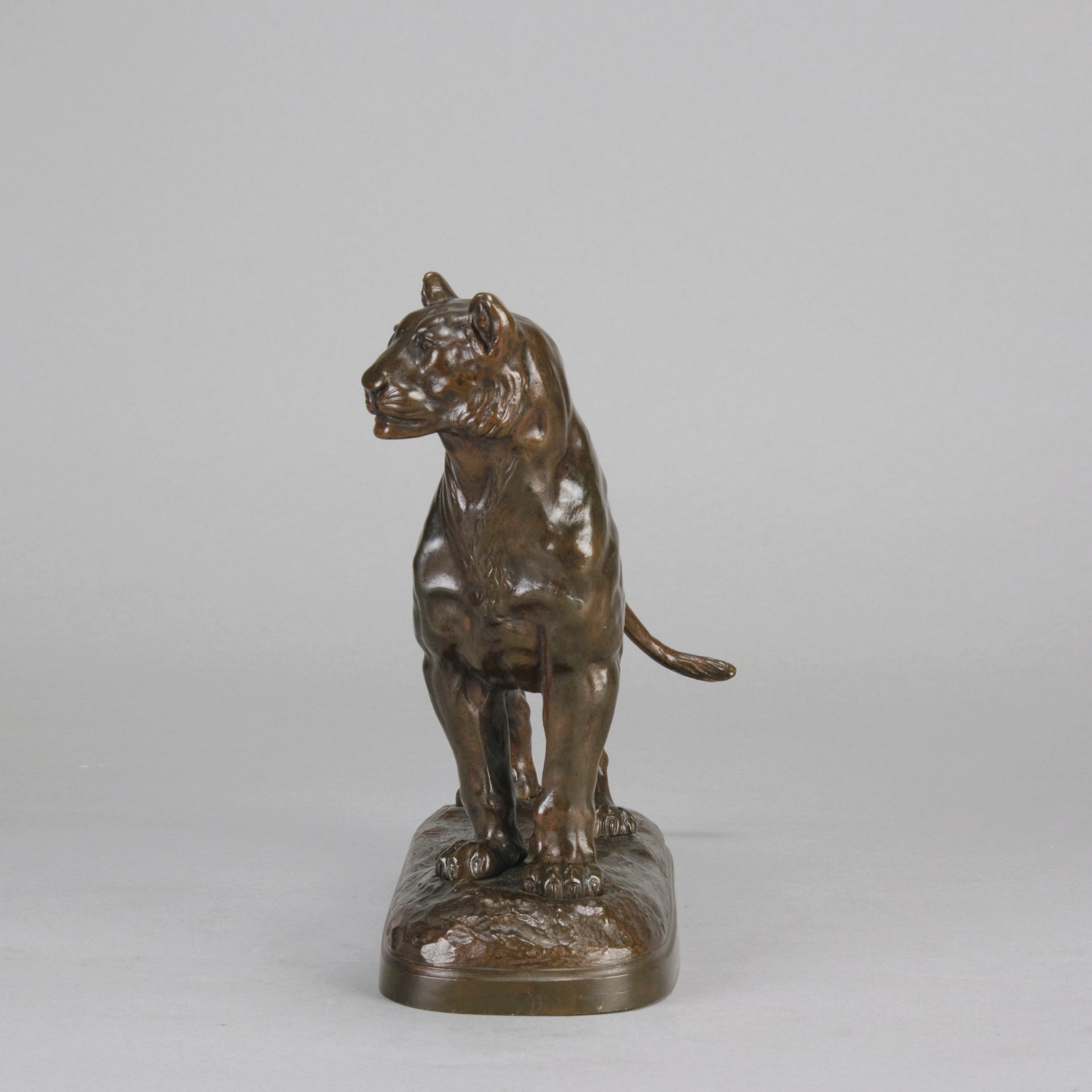 "Standing Lioness" - Donat Motte Bronze - Hickmet Fine Arts  