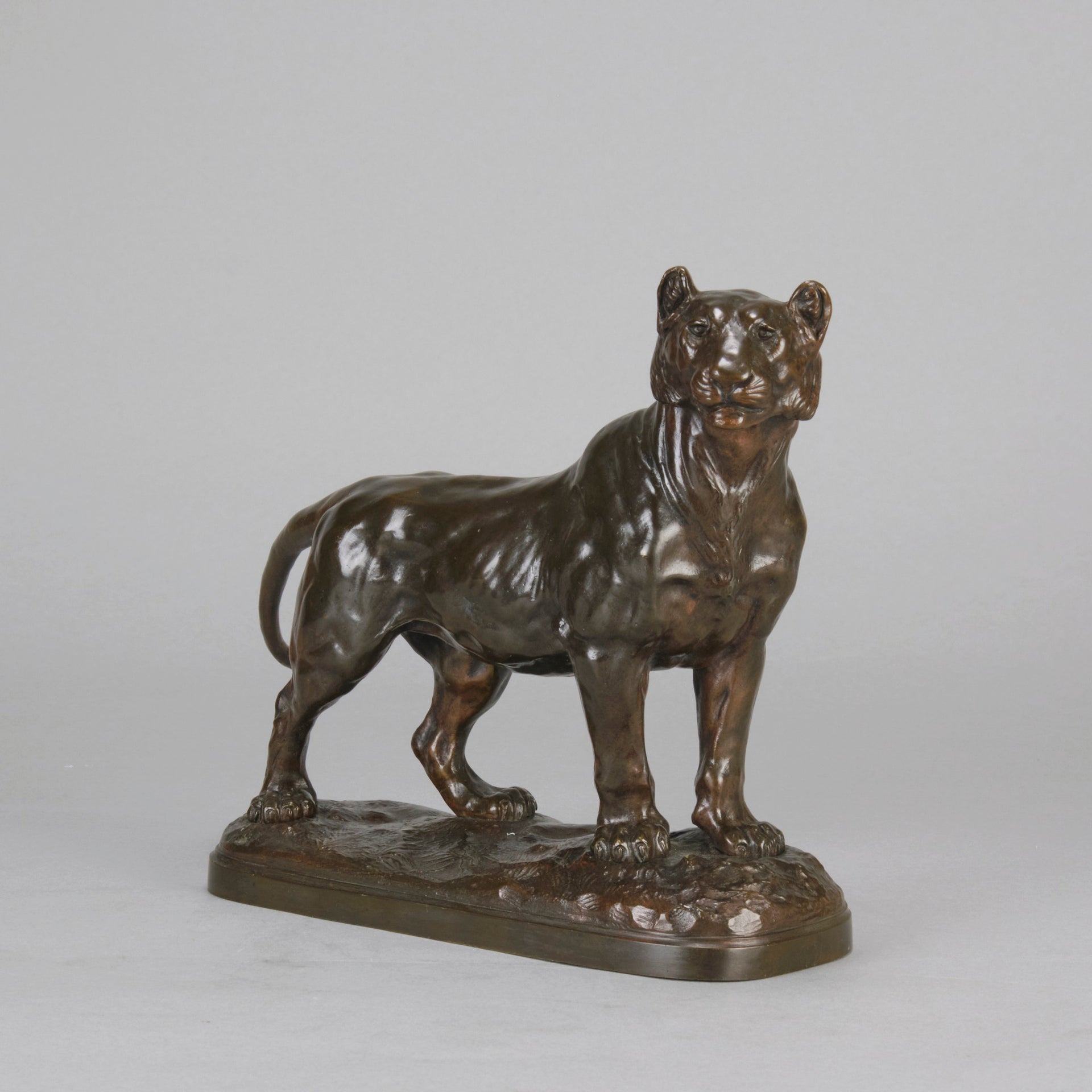 "Standing Lioness" - Donat Motte Bronze - Hickmet Fine Arts  