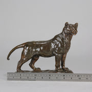 "Standing Lioness" - Donat Motte Bronze - Hickmet Fine Arts  