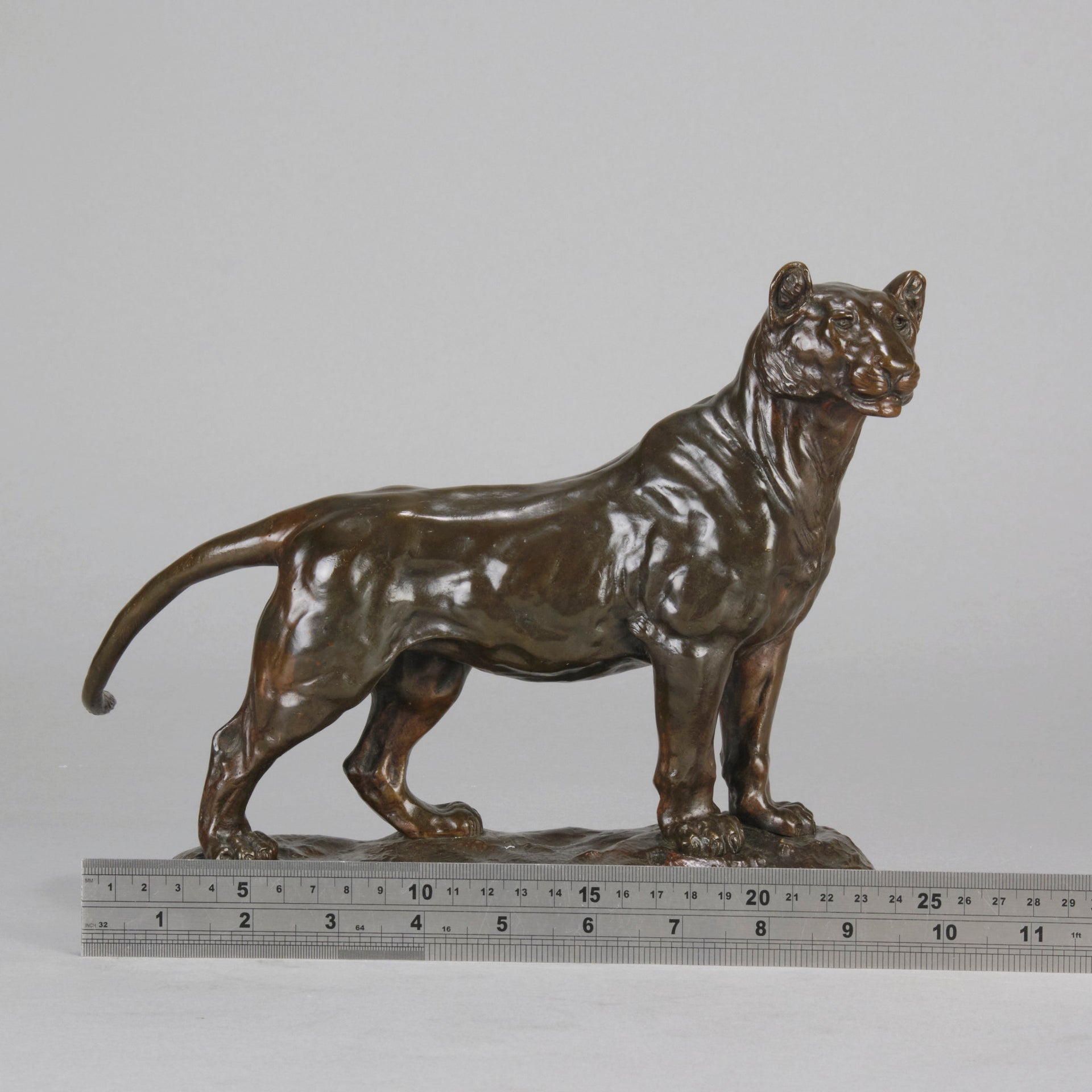 "Standing Lioness" - Donat Motte Bronze - Hickmet Fine Arts  