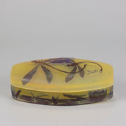 Emile Galle Lidded box - Art Nouveau Glass - Hickmet Fine Arts