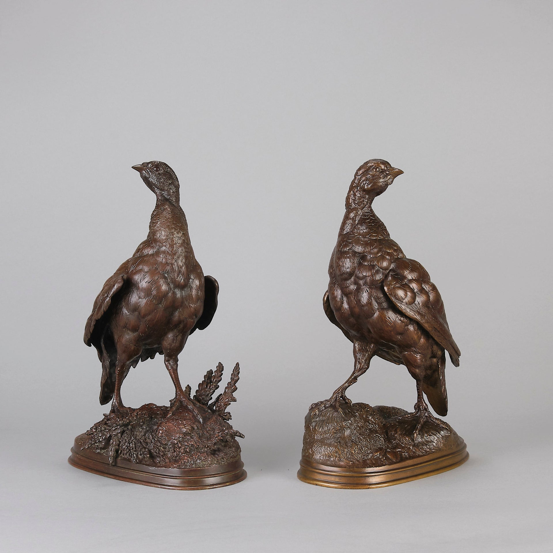 Pautrot bronze grouse