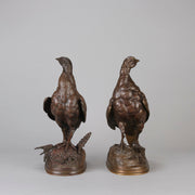 Pautrot bronze grouse