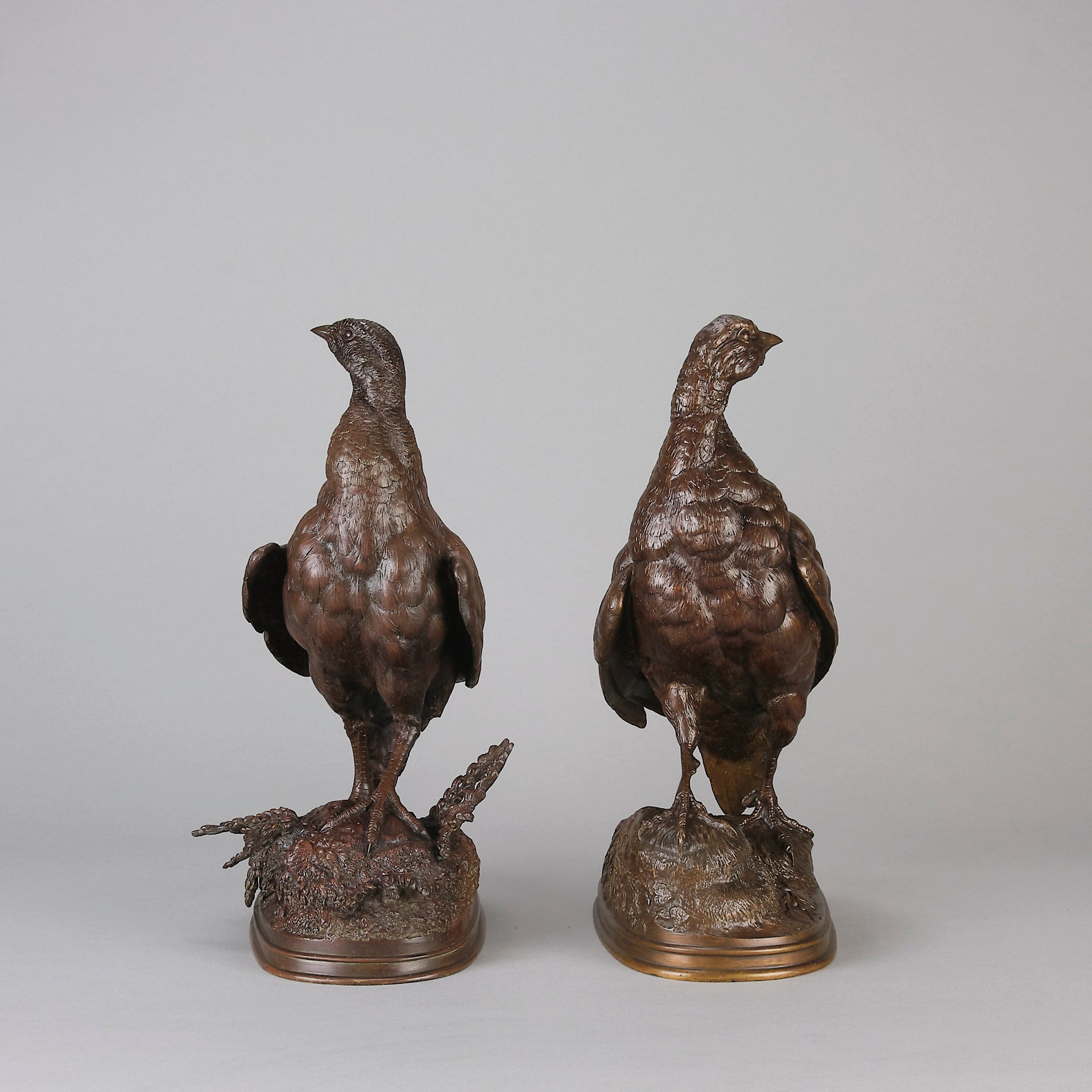 Pautrot bronze grouse