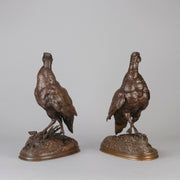 Pautrot bronze grouse
