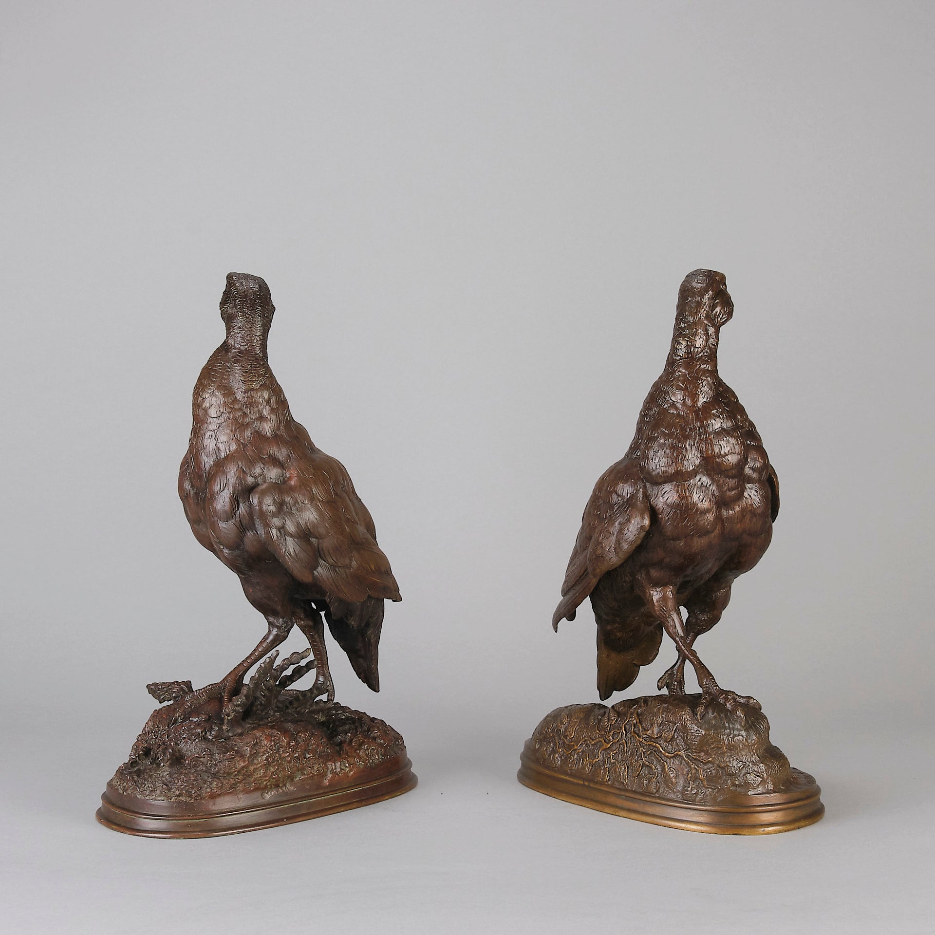 Pautrot bronze grouse