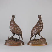 Pautrot bronze grouse
