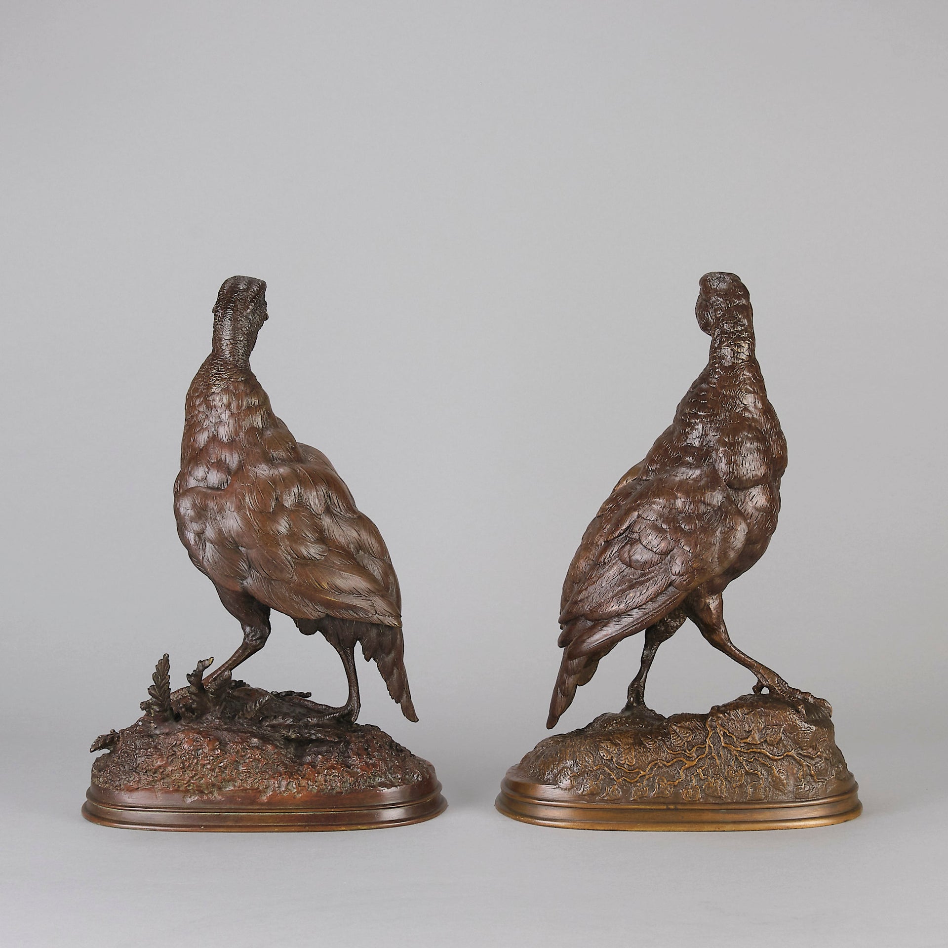 Pautrot bronze grouse