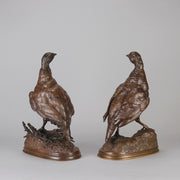Pautrot bronze grouse