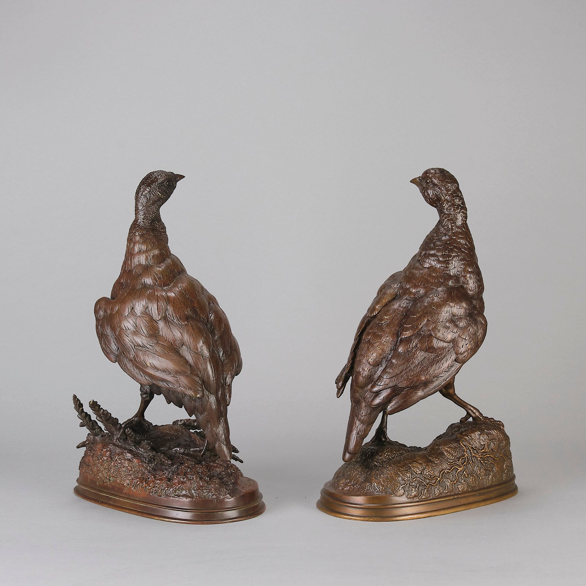 Pautrot bronze grouse