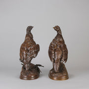 Pautrot bronze grouse